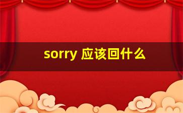 sorry 应该回什么